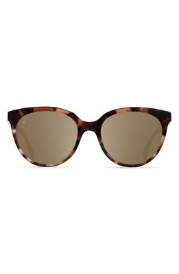 RAEN Lily 54mm Polarized Cat Eye Sunglasses in Almond Tortoise/Alpine Mirror
