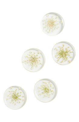 Dauphinette Set of 5 Queen Anne's Lace Buttons in Qal