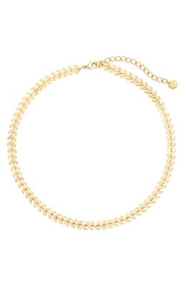 Brook and York Brynn Choker Necklace in Gold