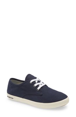 SeaVees Sixty Six Classic Sneaker in Navy