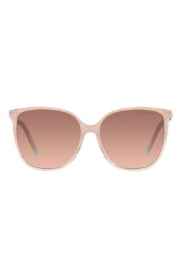 Tiffany & Co. 57mm Gradient Square Sunglasses in Milky Pink Gr/Pink Gr Brown
