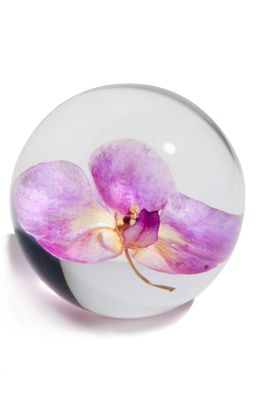 Dauphinette Orchid Paperweight