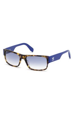 adidas Originals 55mm Rectangular Sunglasses in Multicolor/Blue Gradient