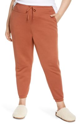 Madewell MWL Betterterry Sweatpants in Warm Umber