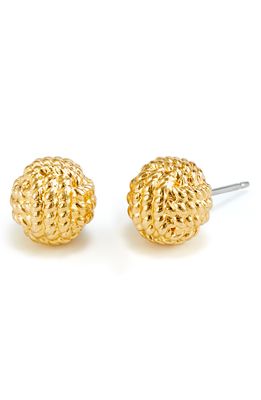 Brook and York Parker Knot Stud Earrings in Gold
