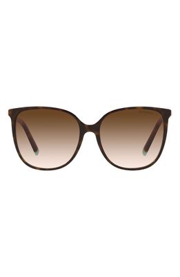 Tiffany & Co. 57mm Gradient Square Sunglasses in Havana Blue/Brown Gr