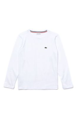 Lacoste Embroidered Cotton T-Shirt in White