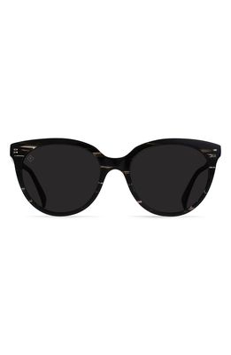 RAEN Lily 54mm Polarized Cat Eye Sunglasses in Licorice/Dark Smoke Polar