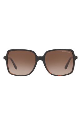 Michael Kors 56mm Gradient Square Sunglasses in New Tortoise/Smoke Gradient