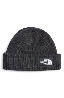 The North Face Salty Dog Beanie in Black