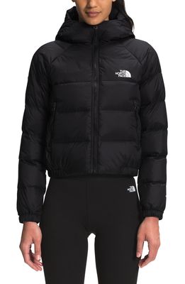 The North Face Hydrenalite Hooded Down Jacket in Tnf Black