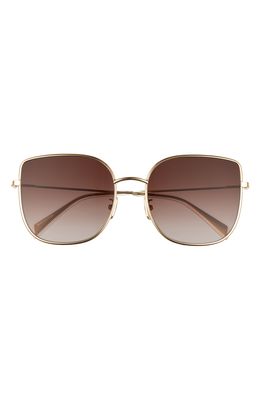 CELINE 59mm Gradient Flat Front Butterfly Sunglasses in Transparent Clear/Rose