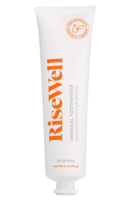 RISEWELL Wild Mint Mineral Toothpaste