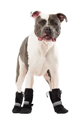 Canada Pooch Set of 4 Soft Shield Paw Boots in Black