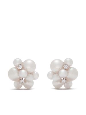 TASAKI 18kt white gold Akoya pearl earrings