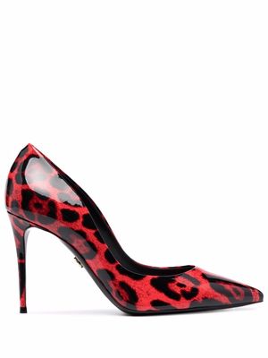 Dolce & Gabbana leopard-print pumps - Black