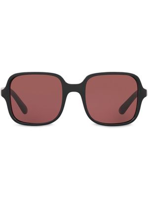 Alexa Chung x Sunglass Hut oversized frames sunglasses - Purple
