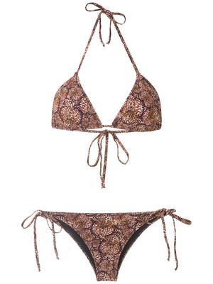 Isolda Borakay tie bikini set - Brown