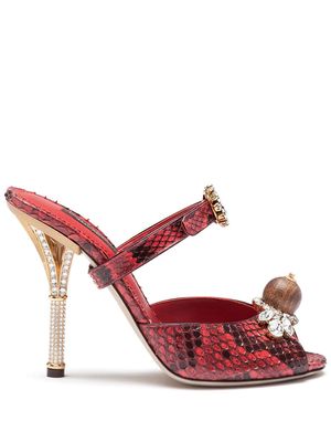 Women's Dolce & Gabbana Shoes - Best Deals You Need To See