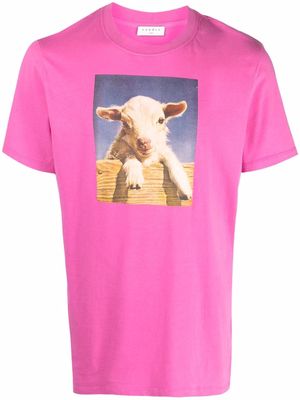 SANDRO Farm graphic print T-shirt - Pink