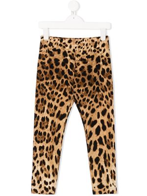 Dolce & Gabbana Kids leopard-print leggings - Brown