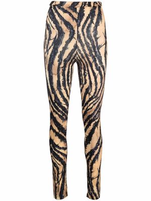Roberto Cavalli zebra-print leggings - Black