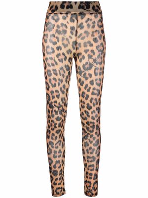 Philipp Plein leopard-print semi-sheer leggings - Black
