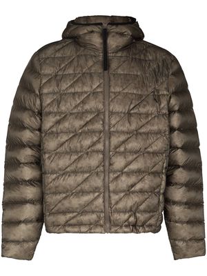 Holden quilted padded jacket - Green