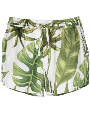 MC2 Saint Barth tropical leaves shorts - White