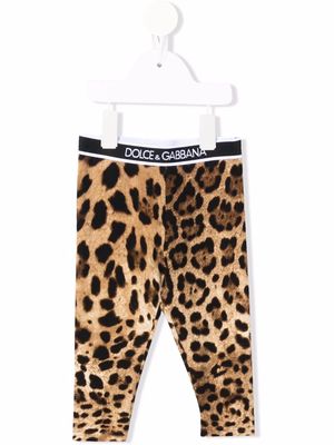 Dolce & Gabbana Kids logo-waistband leopard-print leggings - Neutrals
