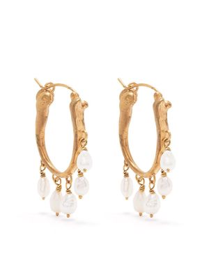 Claire English Corsair pearl hoop earrings - Gold