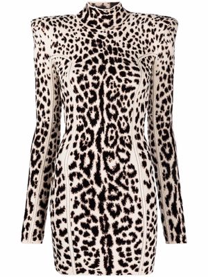 Roberto Cavalli structured-shoulder leopard dress - Black