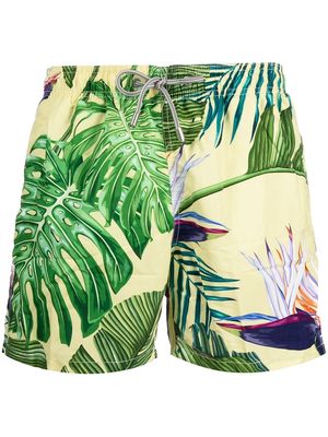 MC2 Saint Barth tropical print swim shorts - Green