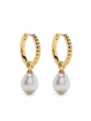 DOWER AND HALL Timeless Oval Pearl hoops - Gold