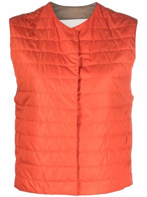 Mackintosh ISABEL quilted liner vest - Orange