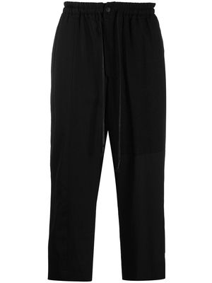 The Viridi-Anne wool-blend wide cropped trousers - Black