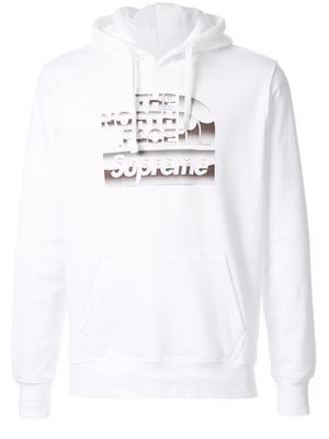 Supreme tnf metallic hooded sweatshirt - White