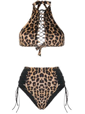 Noire Swimwear Addicted leopard print bikini - Brown