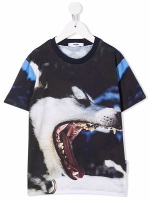 MSGM Kids wolf-print T-shirt - Black
