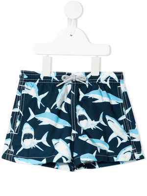 MC2 Saint Barth Kids shark-print swim shorts - Blue