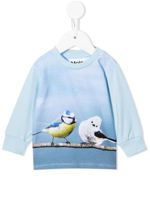 Molo botanical-print cotton sweatshirt - Blue