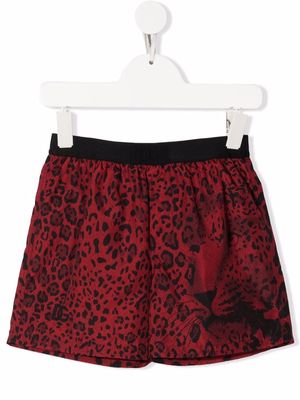 Dolce & Gabbana Kids leopard-print swim shorts - Red