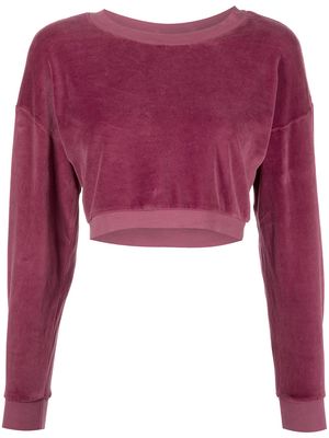 Suzie Kondi cropped velvet sweatshirt - Purple