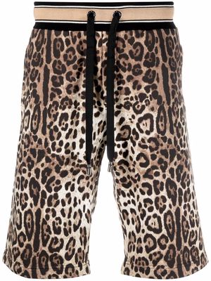 Dolce & Gabbana leopard-print drawstring-fastening shorts - Brown