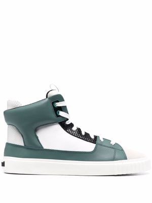 Just Cavalli leather logo hi-top trainers - Green