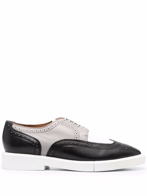 Robert Clergerie colour-block Oxford shoes - Black