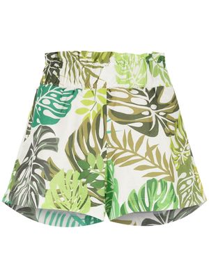 Amir Slama palm leaf print shorts - Green
