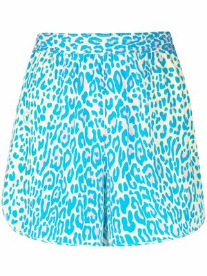Stella McCartney leopard-print shorts - Blue
