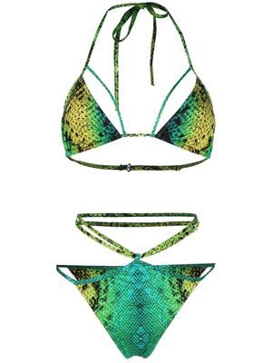 Noire Swimwear snake-print Isla bikini - Green