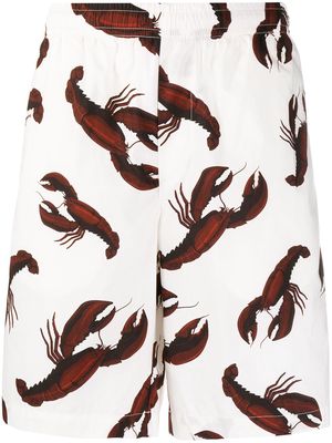 MSGM lobster-print straight-leg shorts - White